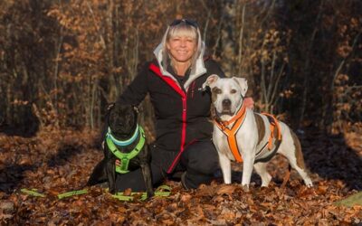 Hundesport Allschwil