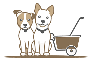 eBook: Die Hundeerziehung