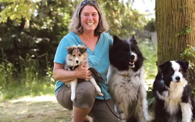 A-Z Basel und Umgebung