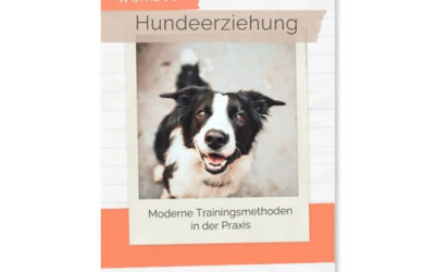 eBook: Hundeerziehung- moderne Trainingsmethoden in der Praxis