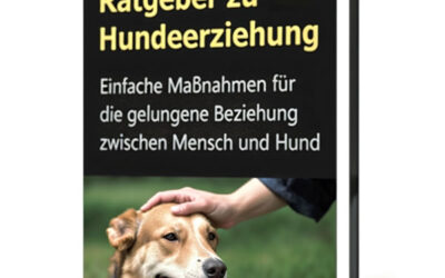 eBook: Hundeerziehung – einfache Massnahmen
