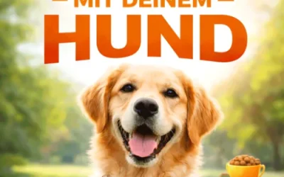 eBook: Der richtige Umgang
